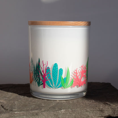 Coastal Collection